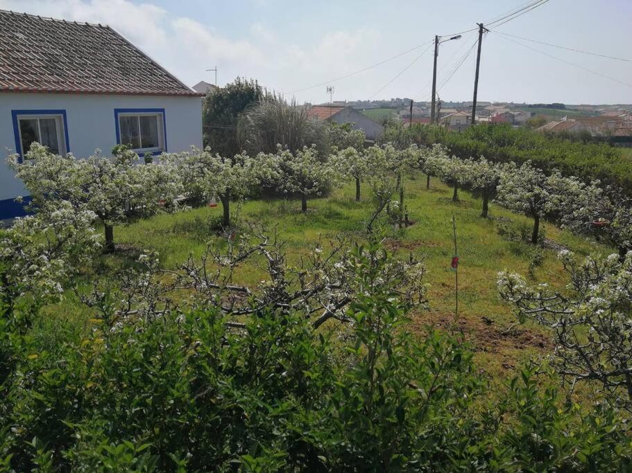 Willa Casa Da Ti' Milia Encarnacao Zewnętrze zdjęcie